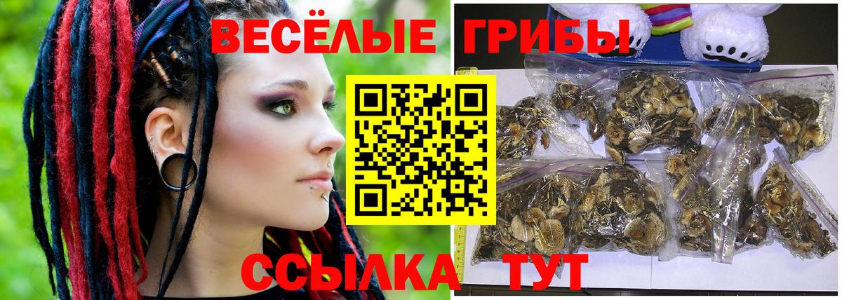 Псилоцибиновые грибы MAGIC MUSHROOMS  купить закладку  Псилоцибиновые грибы Psilocybe  Элиста  Вход с VPN 