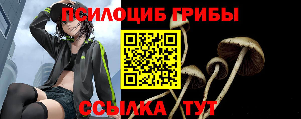 Псилоцибиновые грибы мицелий Элиста