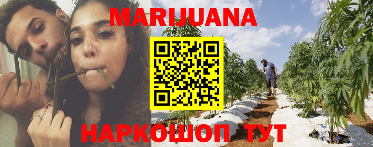Элиста  Бошки марихуана семена  МАРИХУАНА AK-47  Конопля Amnesia  Вход с VPN  Бошки Шишки OG Kush 